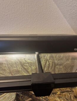 2 König Python und Terrarium - Frankfurt (Main) Bergen-Enkheim