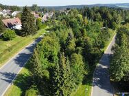 Grundstück im Mischgebiet mit rund 13700m² und optimaler Verkehrsanbindung in Schönwald - Schönwald (Bayern)