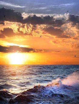 Ohne Dich kein Wir ! - Ilmtal-Weinstraße