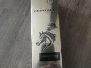 Montale - Arabians Tonka (100 ml) - Bruchköbel