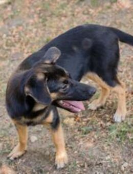 MITJA - neugierig? na wissbegierig eben - Overath