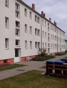 2 Raumwohnung in zwischen Eilenburg und Bad Düben - Zschepplin