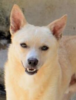 Bepo - Kettershausen