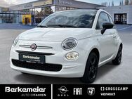 Fiat 500C, 1.0 l 70PS, Jahr 2023 - Münster