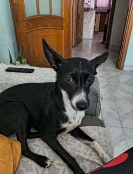 Margot - kleines Mädchen sucht ❤️❤️❤️ - Grevenbroich