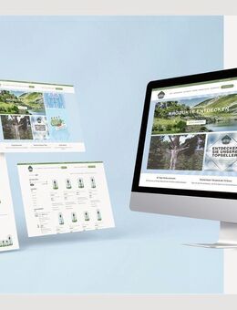Onlineshop erstellen lassen / SEO / Webshop / Webdesign - Heidelberg Zentrum
