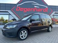 VW Caddy PKW Maxi Trendline BMT 7-Sitze Temp AHK - Mönchhagen