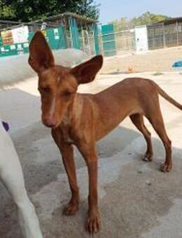 Nicol - kleiner Sonnenschein - Freudenstadt