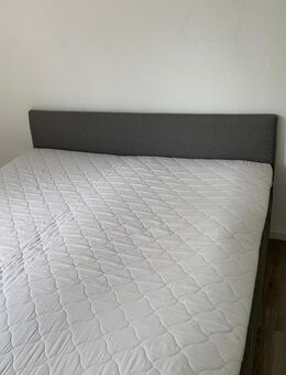 Boxspringbett 180x200cm - Rehau Zentrum