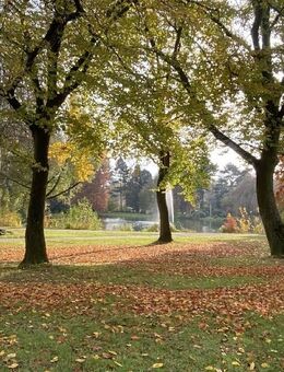 DIREKT AM SCHÖNWASSERPARK: HOCHWERTIGE 2-ZIMMER-WOHNUNG ZU MIETEN! - Krefeld