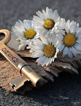 Reihenmittelhaus in Toplage von Duisburg - Marxloh zu verkaufen! - Duisburg