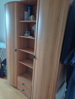 Kleiderschrank braun - Großniedesheim