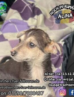 ALINA-hallo da draußen, ich warte !!! - Waakirchen