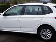 Skoda Kamic Ambition 1.0 TSI RFK LED Climatronic - Stockstadt (Rhein)