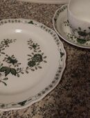 Hutschenreuther Schloßgarten Kaffeegedeck mit Versand in 45772