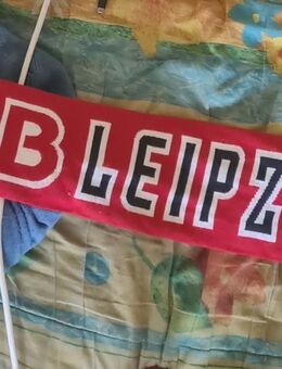 RB Leipzig Fan Schal mit 24 Autogrammen - Leipzig