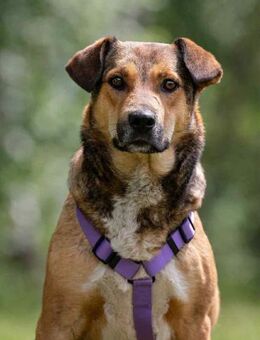 Soziale Rita sucht ihre Menschen - Duisburg