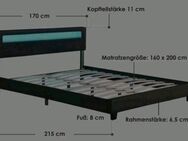 Bett mit LED 160x200 - Treuen