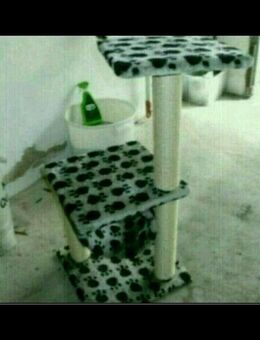 Katzen xxl starter Paket Baum/Box/Futter/Spielzeug/KLo/schlafen - Aalen