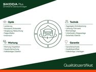 Skoda Octavia, 2.0 TDI 4 IV Combi First Edition Stand, Jahr 2021 - Wolfsburg