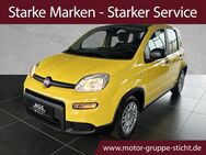 Fiat Panda, # #HYBRID, Jahr 2024 - Bayreuth