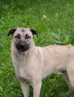 VITO - mit Freude viel in Bewegung - Overath