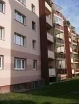 Erdgeschosswohnung zum sofortigen Einzug bereit - Borna