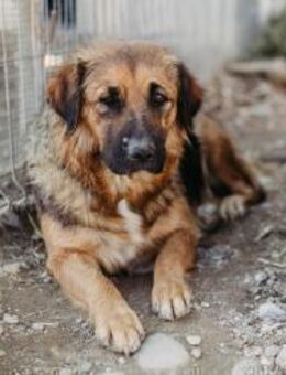 wundervolle Bea - Kallmünz