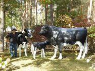 Kennen Sie schon die neue Generation Holstein - Friesian 3D Kuh lebensgroß - Modelle aus dem Hause Deko mit Pfiff International ? - Heidesee