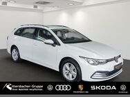 VW Golf Variant, 2.0 TDI Golf VIII Life, Jahr 2021 - Kusel