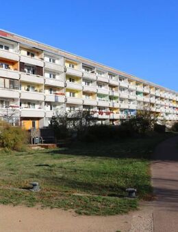 PREISAKTION - Dessau-Roßlau