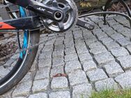 Giant Fathom Hardtail Limited Edition Größe M - Wuppertal
