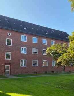 Modernisierte 3 Zimmer Wohnung zu vermieten! - Kiel