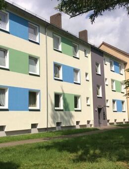 Klein aber fein - wir renovieren für Sie - Hannover