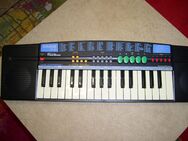 Keyboard Casio SA-21 - Wiesbaden