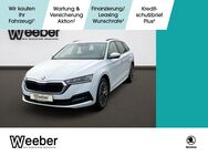 Skoda Octavia, 1.5 TSI Combi Ambition V, Jahr 2024 - Calw