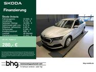 Skoda Octavia, 2.0 TDI Combi Active, Jahr 2021 - Freudenstadt