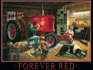Tolles Blechschild Farmall Forever Red Traktor Landwirtschaft 20x30 cm - München