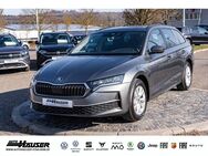 Skoda Octavia, 1.5 TSI Combi Selection, Jahr 2024 - Pohlheim