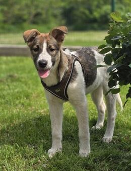 ❤️ Lilly - Kissing