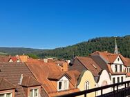 Kernsanierte Wohnung mit Aufzug und Balkone in zentraler Altstadtlage von Eberbach - Eberbach