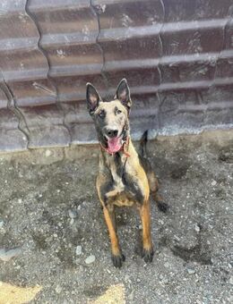 hübsche, lernfreudige Gina sucht ihre Fa - Kallmünz