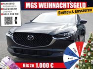 Mazda CX-30, 122PS 6MT Homura, Jahr 2022 - Weiden (Oberpfalz)