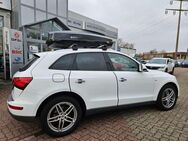 Audi Q5 2.0 TDI*S-Line*Navi*Leder**Kamera*TÜV 03.2025 - Flensburg