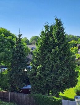 Schicke 2-Zi-Wohnung - zentral und ruhig in Kaldauen - Erstvermietung nach Modernisierung - Siegburg