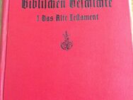 Handbuch zur biblischen Geschichte- Band 1- 1925 -Schuster-Holzammer- - Mahlberg