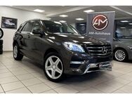 Mercedes-Benz ML 250 BT 4Matic *AMG*AHK*Leder*Ambientebeleucht - Hamburg