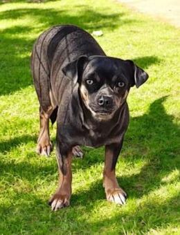 🌸 Conchita Schüchternes Mädchen 🌸 - Wettenberg