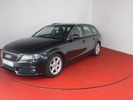 Audi A4 Ambition 1.8TFSI TÜV 07/25 Navi Xenon Sitzhz - Horn-Bad Meinberg