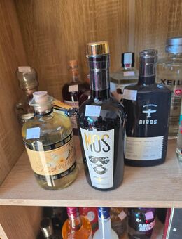 GIN CONVOLUT 11 FLASCHEN - Dillingen (Saar)